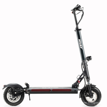 10-дюймовый 600 Вт 800 Вт складные электрические скутеры с двумя колесами Easy Ride E-Scooter